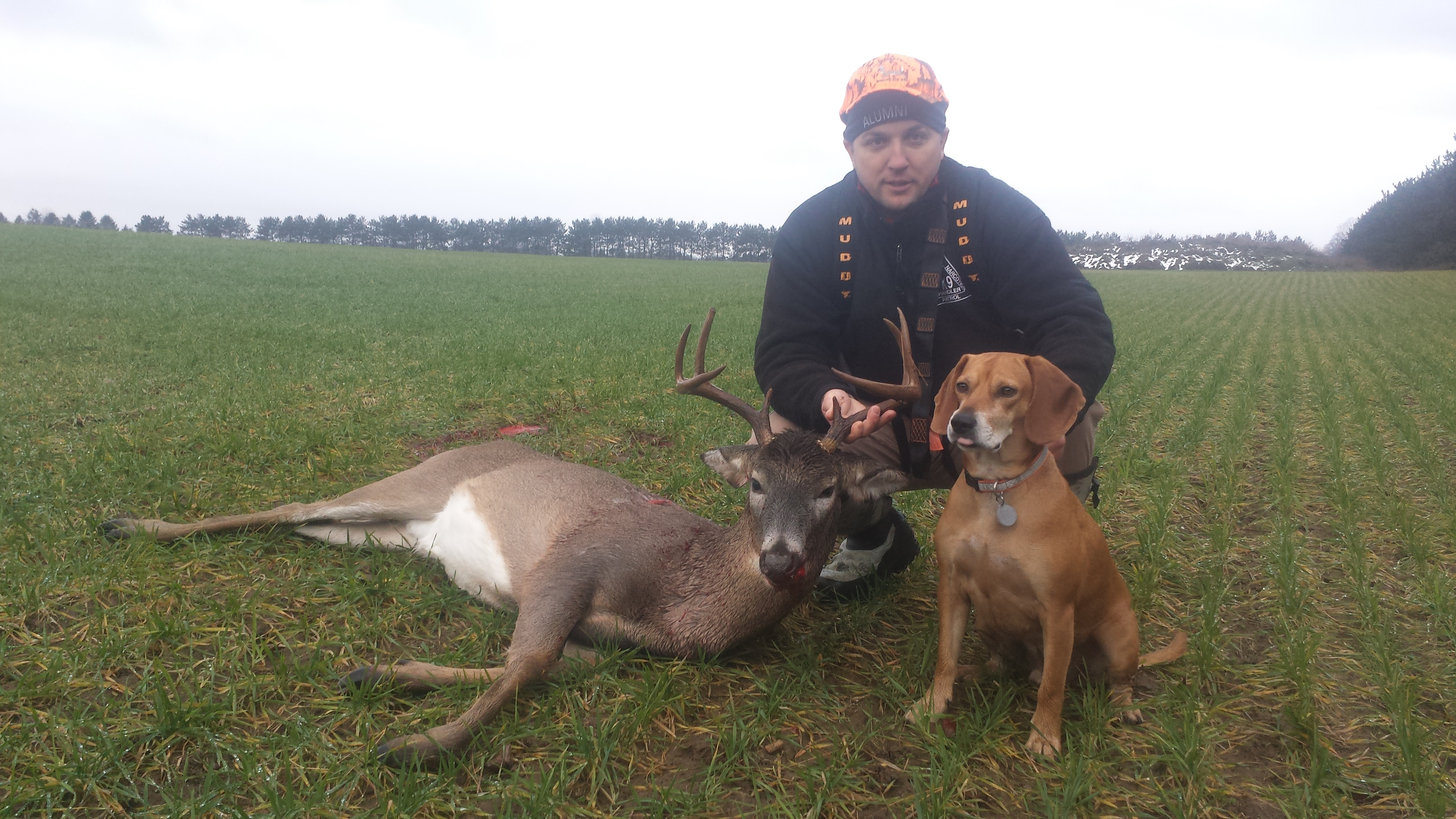 Traverse City Deer Dog Tracking Nov 25 2016
