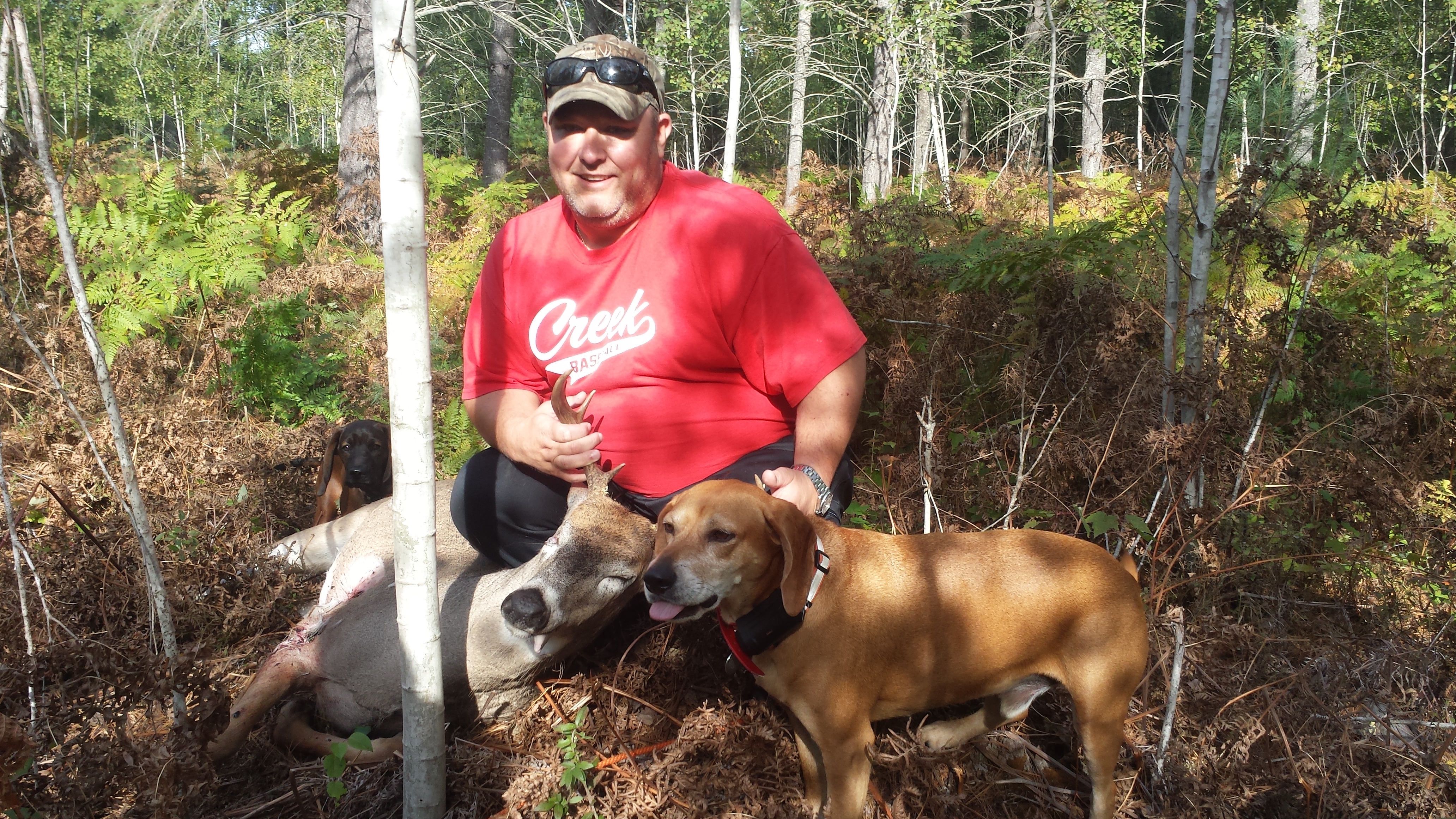 Traverse City Deer Dog Tracking October 2017