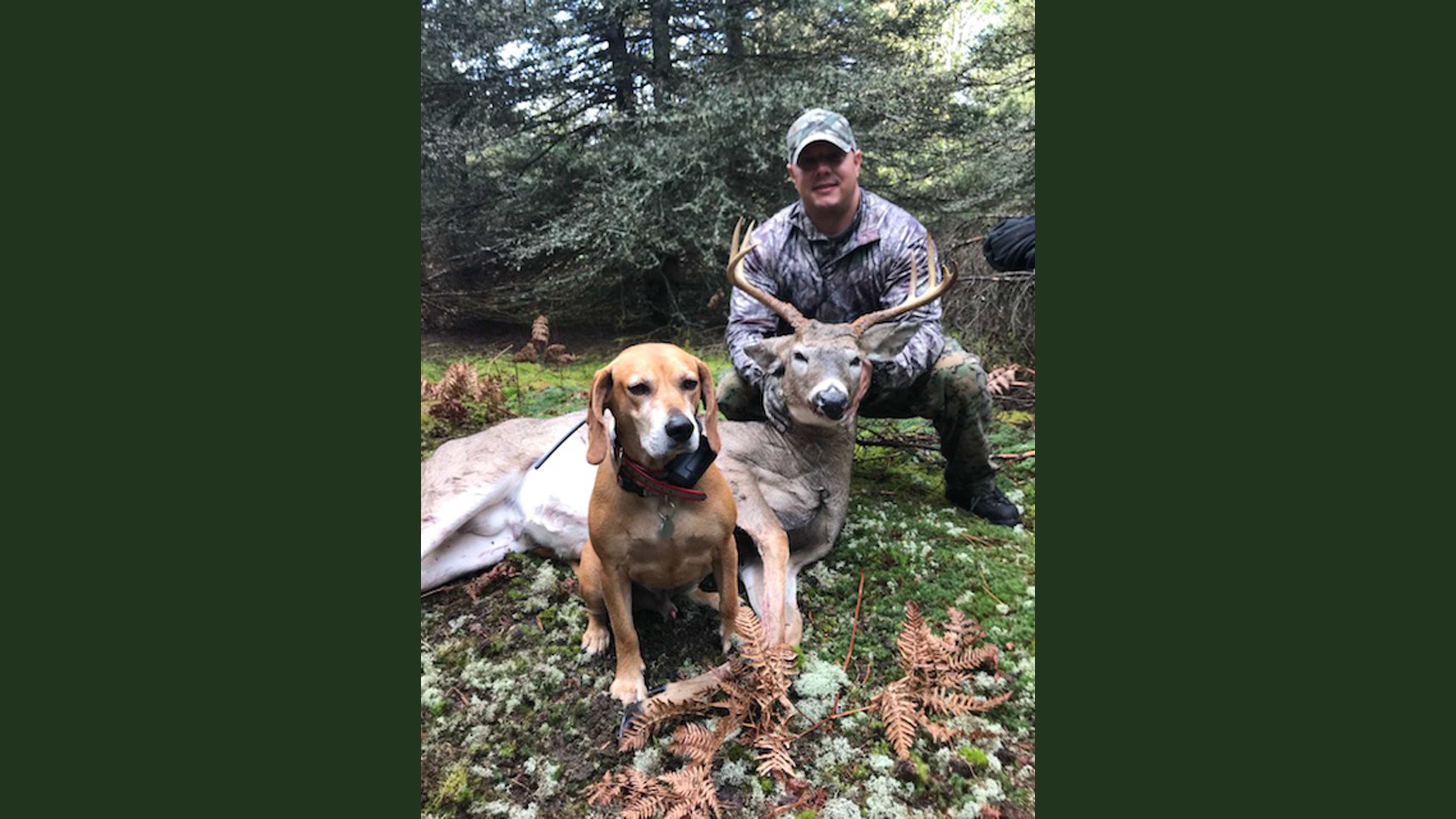 Traverse City Deer Dog Tracking October 2017